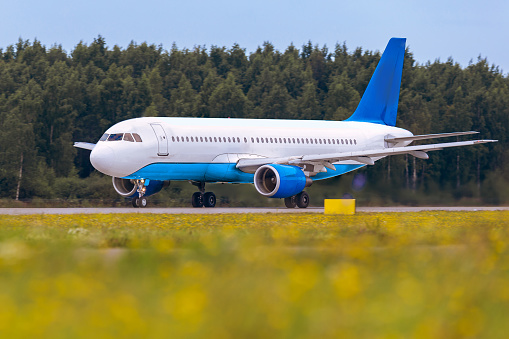 The airplane is moving on the runway against the background of the forest and blue cloud sky and in the foreground beautiful field of yellow bright flowers. Summer sunny weather