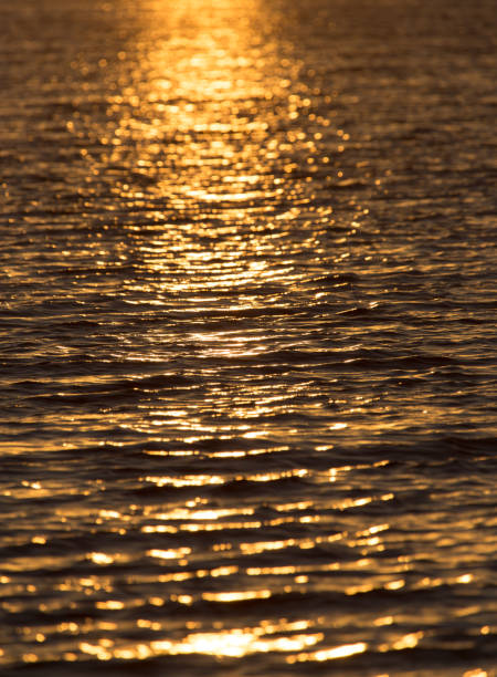 istock seamless texture warm color shining sunset water surface 852030014