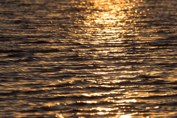 istock seamless texture warm color shining sunset water surface 852030102