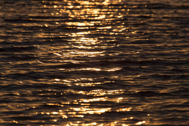 istock seamless texture warm color shining sunset water surface 852030192