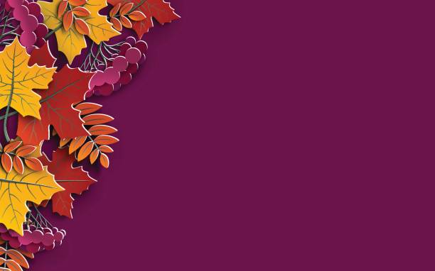 осенний цветочный фон с красочными силуэтами листьев деревьев на фиолетовом фоне, элементы дизайна для осеннего сезона баннер, плакат, фла� - thanksgiving maple leaf abstract autumn stock illustrations