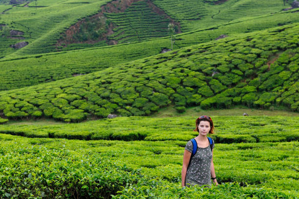 istock In the visit on a tea plantation 852032896