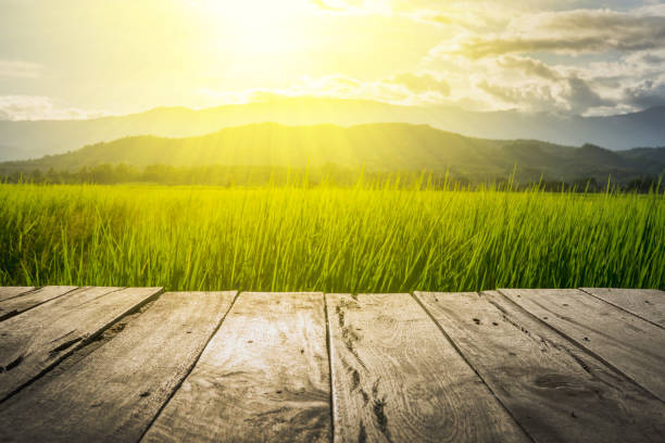 istock wooden floor beside green rice field 852033794