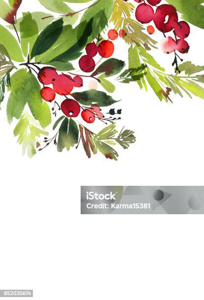 Christmas Watercolor Card With Spruce And Berries Stock Illustration - Download Image Now - Christmas, Invitation, Abstract
