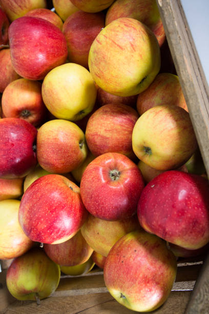 istock Apples in wooden box. 852038934