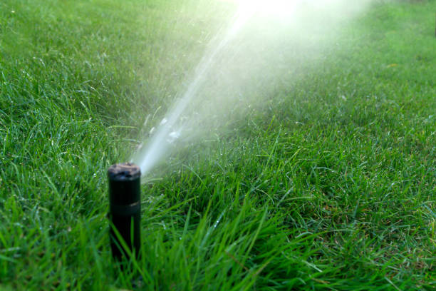 zraszacz do podlewania na zielonym trawniku - sprinkler park summer spray zdjęcia i obrazy z banku zdjęć