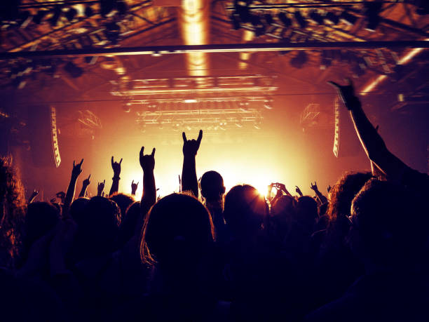 istock Concert crowd in front of a live stage 852048006