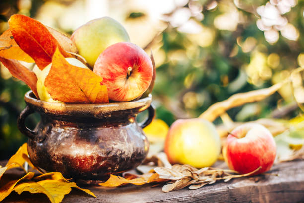 istock home apples in garden on wooden background with sun light 852048600