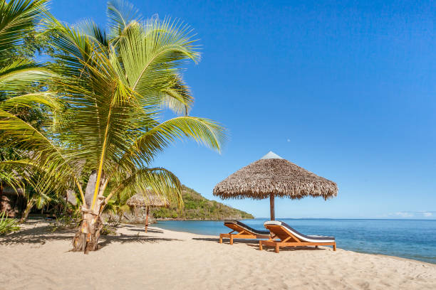 Tropical beach landscape Tropical beach landscape with loungers and parasol in Nosy Be, Madagascar madagascar beach photos stock pictures, royalty-free photos & images