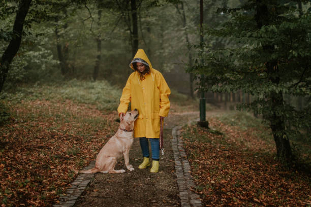 Woman Walking Dog on Misty Cold Day