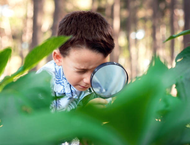 istock Little child is exploring the nature 852079550