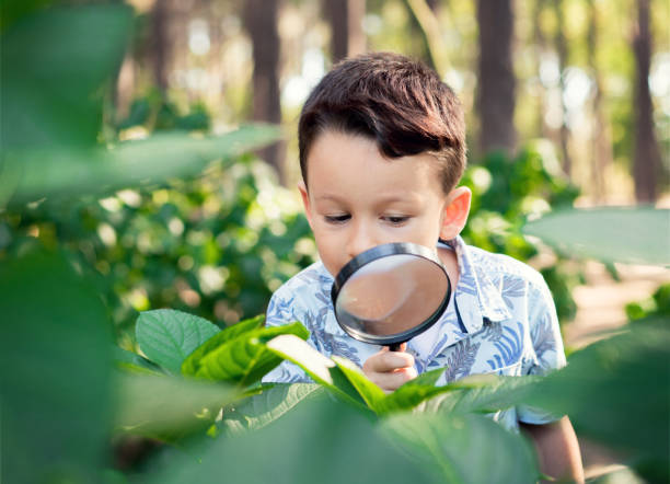 istock Little child is exploring the nature 852079662