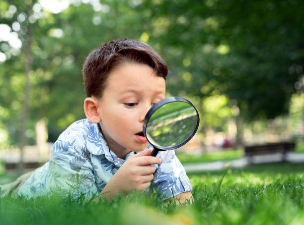 istock Little child is exploring the nature 852085612