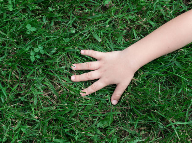 istock Little child is touching to nature 852088642