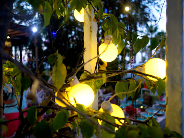 istock Outdoor Tree with Decorated yellow Circular Lights 852092448