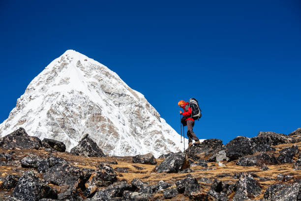 istock Trekker approaching PumoRi mountain in Khumbu valley on a way to Everest Base camp 852098778
