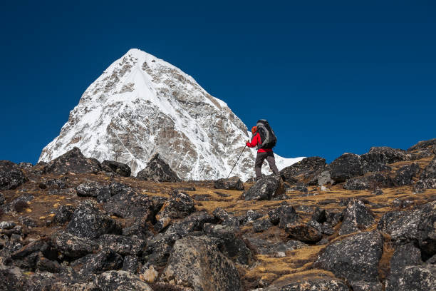 istock Trekker approaching PumoRi mountain in Khumbu valley on a way to Everest Base camp 852098824