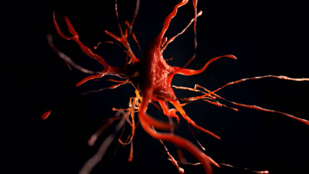 istock 3d illustration of neural cell 852107084