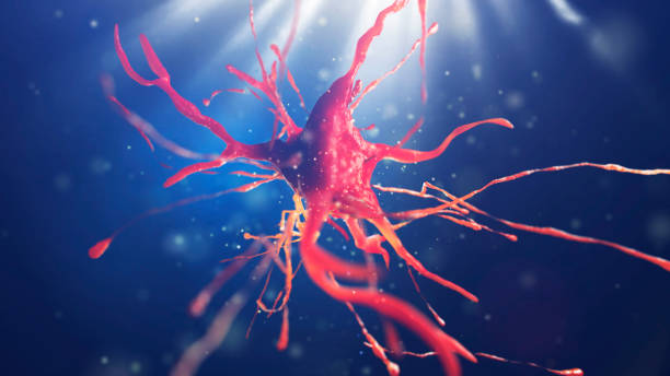 istock 3d illustration of neural cell 852107266
