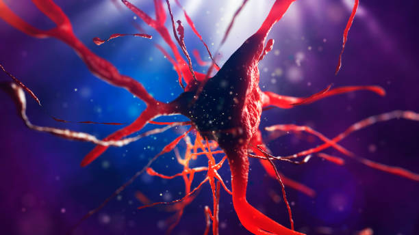 istock 3d illustration of neural cell 852107340