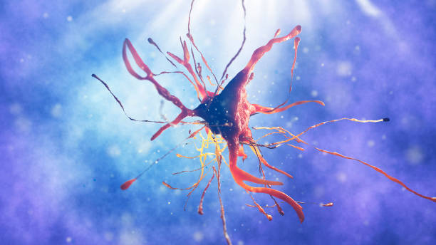 istock 3d illustration of neural cell 852110226