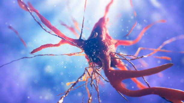 istock 3d illustration of neural cell 852110316
