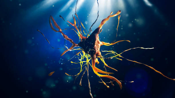istock 3d illustration of neural cell 852110870