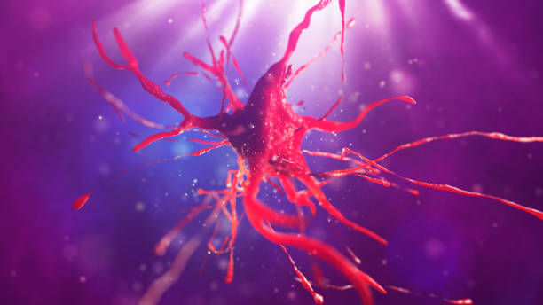 istock 3d illustration of neural cell 852111236