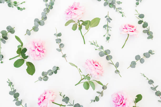 istock Floral pattern of pink flowers and eucalyptus branches on white background. Flat lay, top view. Valentine's background 852111684