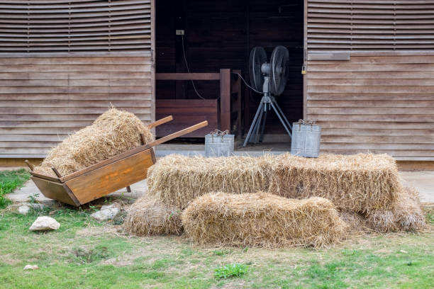Cart with rick straw on grass