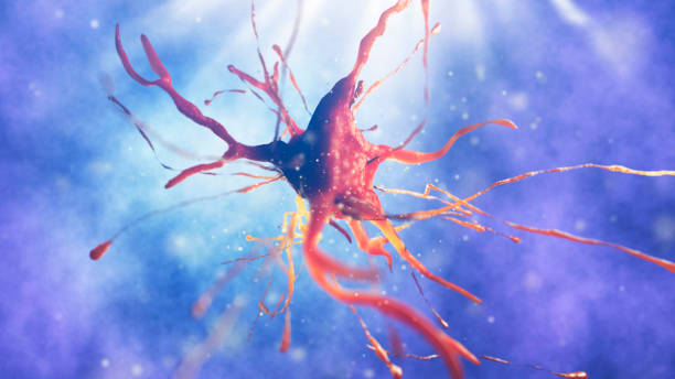 istock 3d illustration of neural cell 852114894