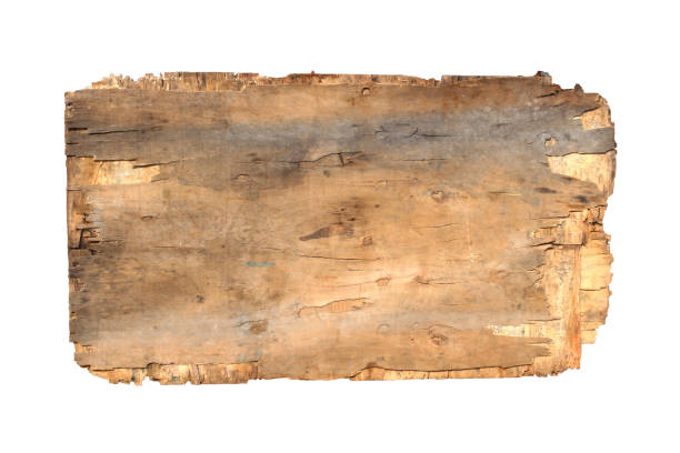 placa de madeira velha na isolada - driftwood wood weathered plank - fotografias e filmes do acervo