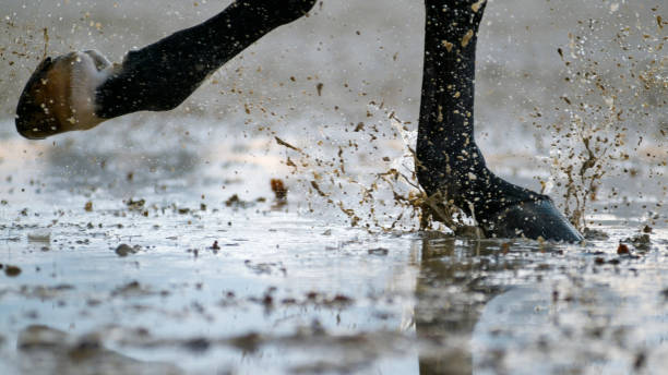 istock Horse hooves striking wet ground 852131176