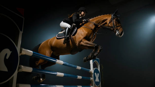 istock Chestnut horse and it's rider jumping over rail 852131184