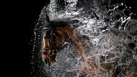Horse with rider jumping through water curtain.