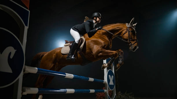 istock Chestnut horse and it's rider jumping over rail 852131200
