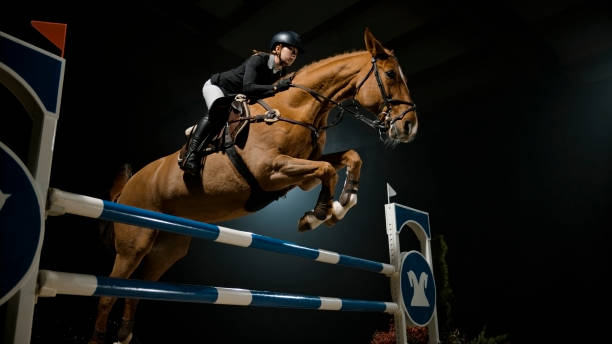 istock Chestnut horse and it's rider jumping over rail 852131202