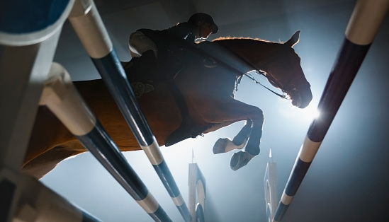 Chestnut horse and female rider jumping over rail in night.