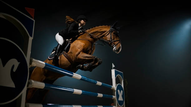 istock Chestnut horse and it's rider jumping over rail 852131782