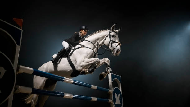 White horse jumping over rail in arena White horse and rider jumping over rail in arena at night. equestrian show jumping stock pictures, royalty-free photos & images