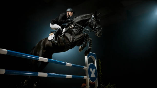 istock Black horse jumping rail with his rider 852132766
