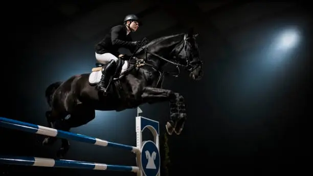 Black horse jumping over rail with female rider on its back.