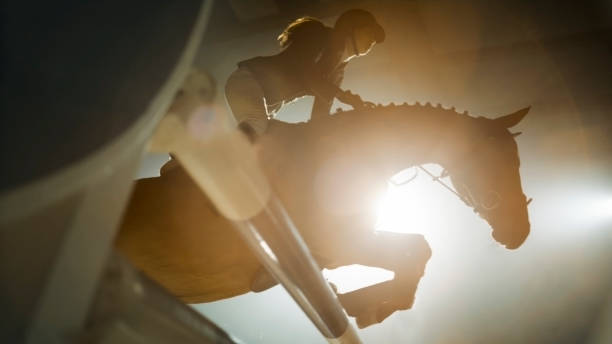istock Chestnut horse and it's rider jumping over rail 852133250