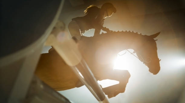 castanha cavalo e do cavaleiro saltando sobre trilho - hurdle competition hurdling vitality - fotografias e filmes do acervo