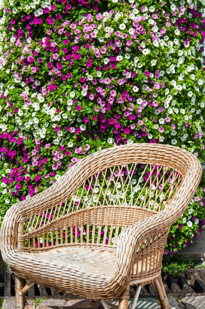 istock Wicker chair to relax in fall sunshine 852141740