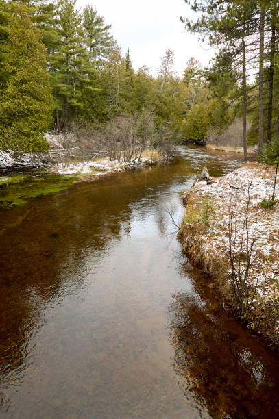 istock Landscape view of forest and water in river 852150040