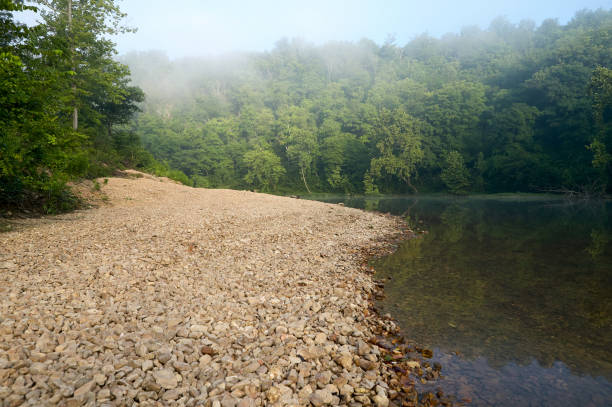 fiume calmo vicino a una foresta nebbiosa - riverbank foto e immagini stock