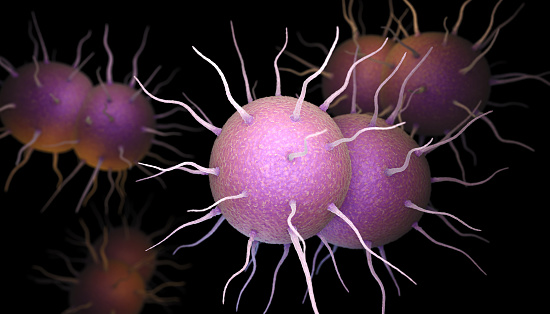 Neisseria gonorrhoeae, the bacterium responsible for the sexually transmitted infection Gonorrhea. 3D illustration