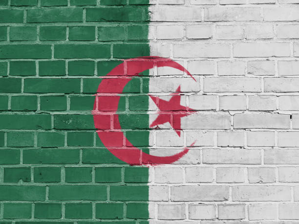 istock Algeria Politics Concept: Algerian Flag Wall Background Texture 852174020