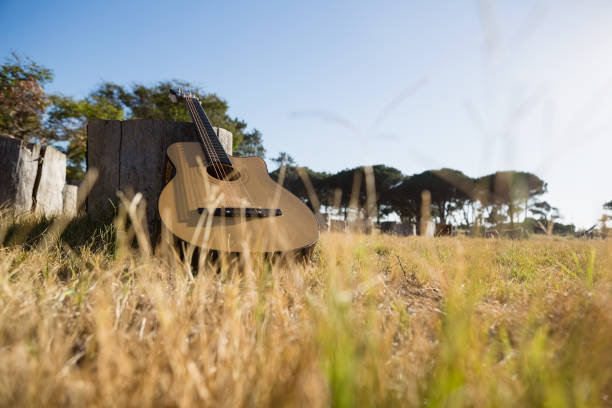 istock Guitar in the park on a tree stump 852174196